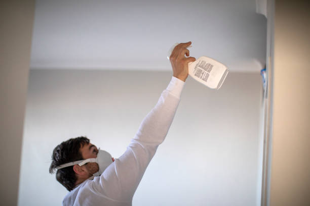 Best Industrial Mold Remediation in Western Lake, TX