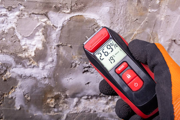 Best Mold Testing and Inspection Services in Western Lake, TX
